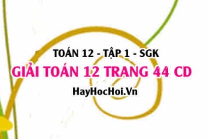 Giải Toán 12 trang 44 tập 1 Cánh Diều